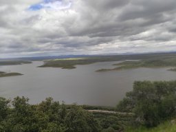 Flora del Cerro Masatrigo